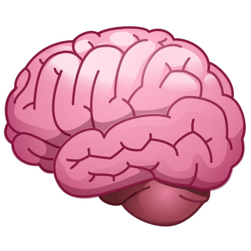 icone cerveau